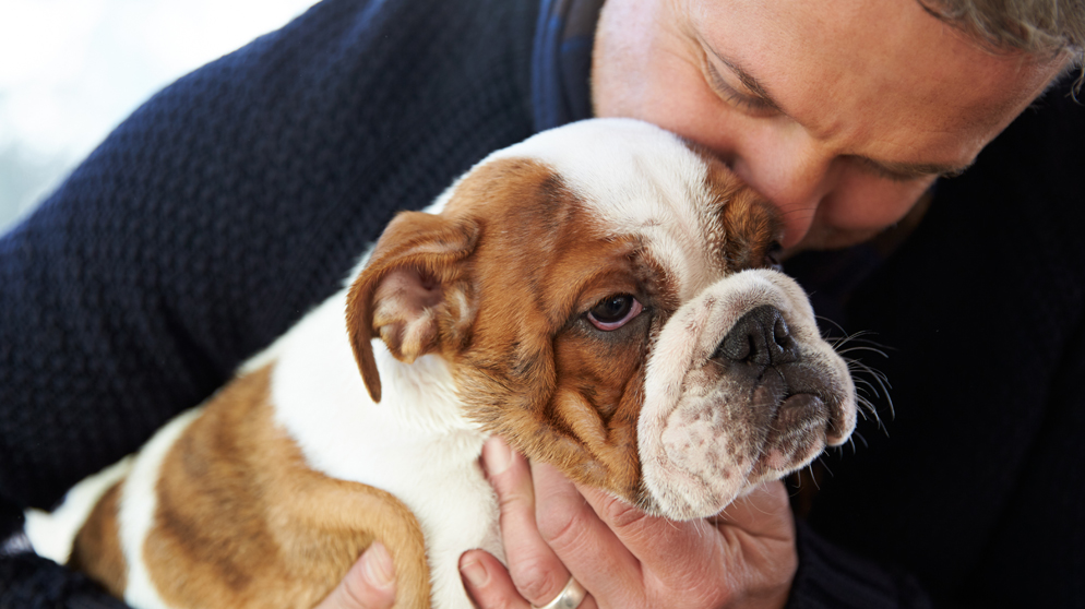 Tips for Donors Tips for Donors